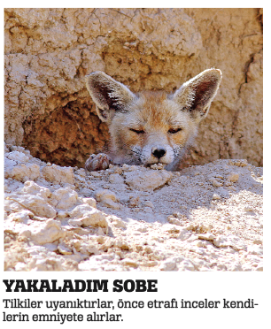 Hem fotoğraf çekiyoruz hem çile